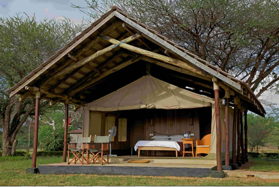Ashnil Aruba Lodge Tent